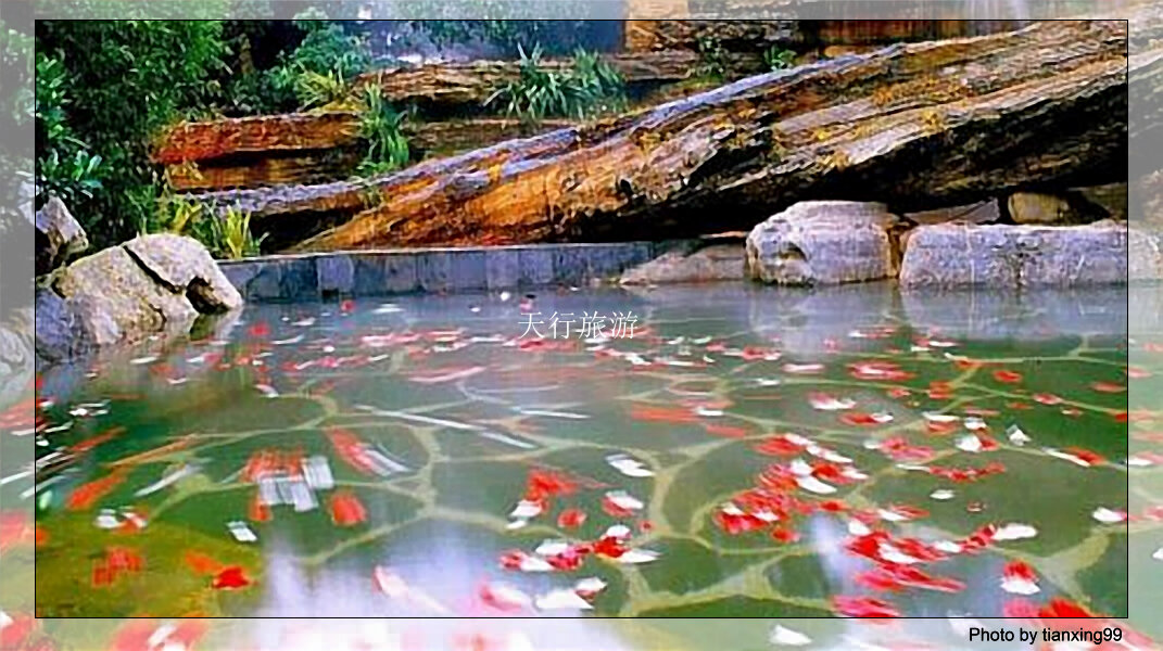 首期研學(xué)旅行指導(dǎo)師職業(yè)能力等級評價實(shí)訓(xùn)班