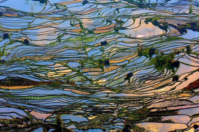 暑假想去云南旅游，有哪些旅游城市可以推薦
