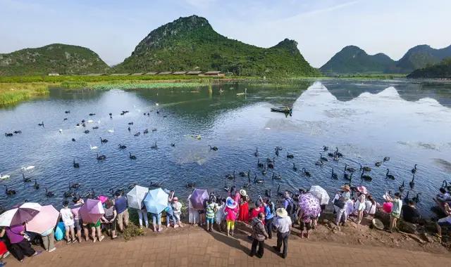 春節(jié)云南特輯 | 人少景美！春節(jié)云南旅游線(xiàn)路推薦十