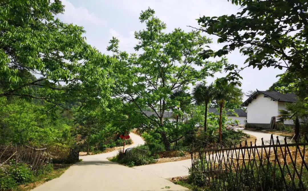云南鄉(xiāng)村旅游，“玩”出特色！德宏：打好發(fā)展組合拳