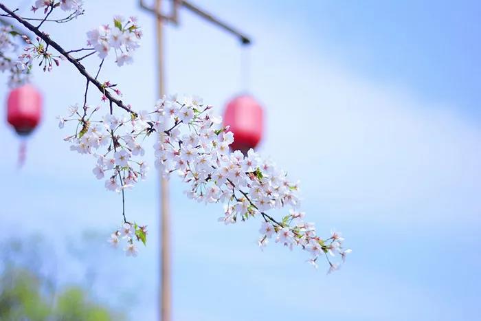 旅游景區(qū)如何良性循環(huán)應(yīng)對市場變化？