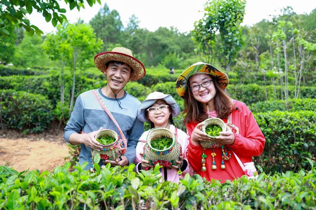 什么顏色最夏天？ 當(dāng)然是郁郁蔥蔥的綠色，周末帶著孩子體驗(yàn)最盎然的綠意