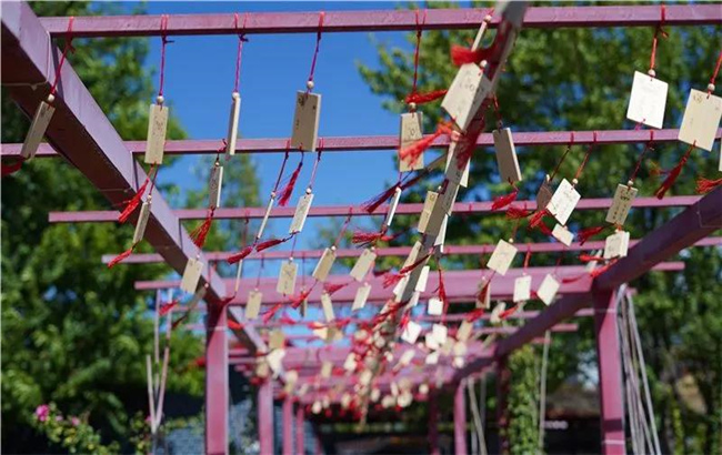 賞花親水、荷塘野趣……楚雄東華濕地公園許你一個(gè)繽紛夏日