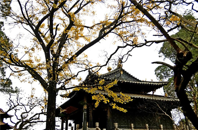 云南傳媒公司：在云南，聽(tīng)說(shuō)古鎮(zhèn)和秋天更配