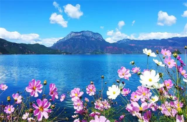 云南旅拍地推薦：七月的瀘沽湖，竟然可以美成這樣！