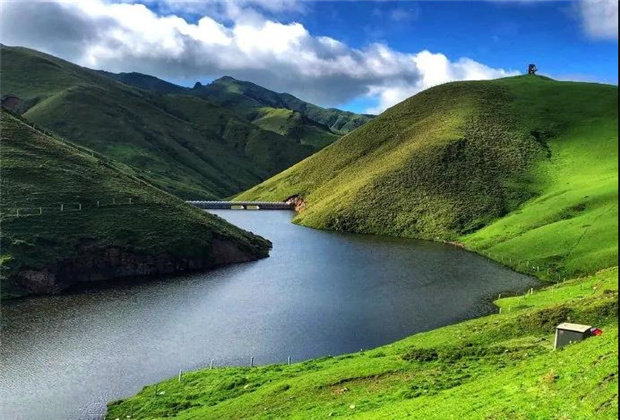 云南露營場地：夏天的大海草山，已經(jīng)美成了天堂！