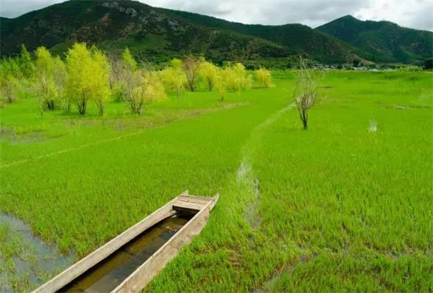 云南會(huì)展策劃：關(guān)于瀘沽湖的好風(fēng)景，都想與你分享！