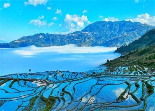 一條來自聯(lián)合國的推送，主角：紅河哈尼梯田！