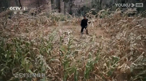 趣說人文歷史｜康乾盛世，“番薯盛世”？