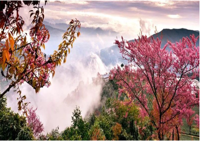 【聚焦旅交會 相約游大理】來南澗，在彝鄉(xiāng)體驗自然之謎與民族之美