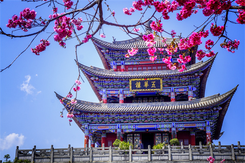 疫情過后，給自己來一場放縱的旅行...麗江的夏天愿你更美！