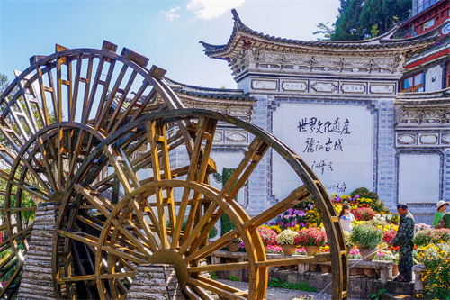 云南麗江老君山，實(shí)在太美了，遠(yuǎn)赴麗江驚鴻宴美哉！