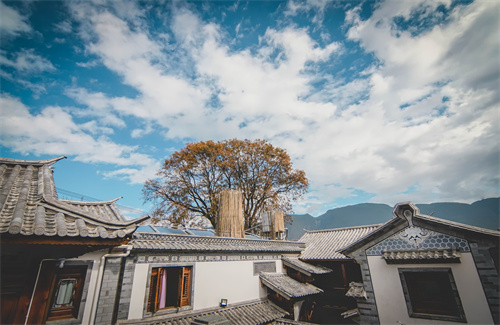 春節(jié)云南特輯 | 人少景美！春節(jié)云南旅游線(xiàn)路推薦三