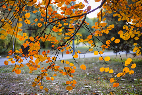 云南文創(chuàng)雪糕火出圈，“雪糕+景點(diǎn)”網(wǎng)紅式打卡驚靚一夏！