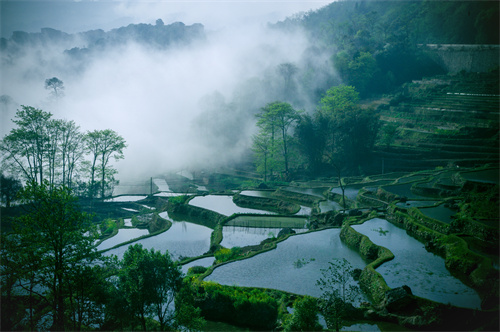 鄉(xiāng)村健康養(yǎng)生產(chǎn)業(yè)的客戶群體有哪些？它有什么開發(fā)要點？
