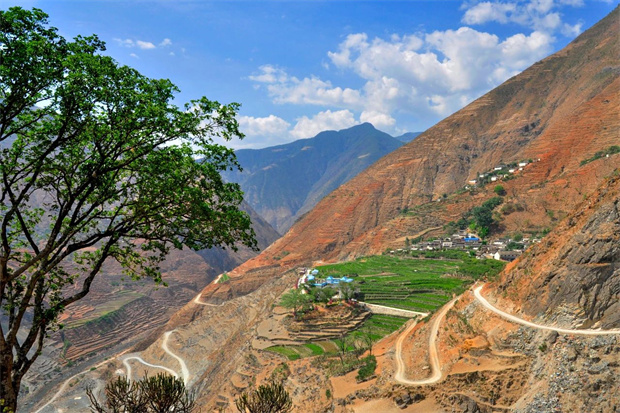 云南旅游,云南旅行社,云南團建公司,云南會議公司,大理旅游,大理旅行社,大理團建公司,大理會議公司：云南第一棵咖啡樹，在哪？
