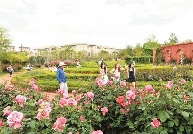 云南旅游,云南旅行社,云南團建公司,云南策劃公司,云南會議公司,昆明旅游,昆明旅行社,昆明團建公司,昆明策劃公司,昆明會議執(zhí)行：旅居昆明，在花海里通關(guān)四季！花歷正在更新，等你來簽收春天→